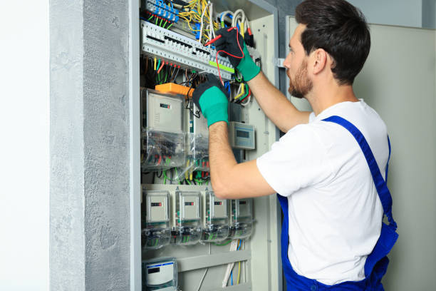 Best Electric Panel Repair  in Williamstown, PA