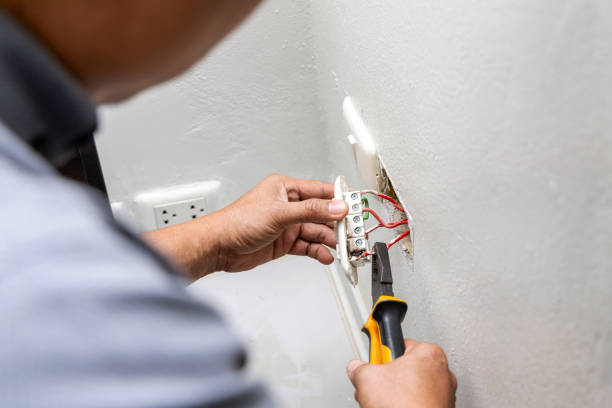Best Electrician for Home Renovation  in Williamstown, PA